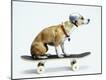 Premium Photographic Print