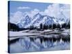 Stretched Canvas Print