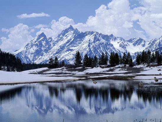 Premium Photographic Print, , large