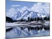 Premium Photographic Print