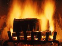 Log Burning in Fireplace-Chris Rogers-Photographic Print