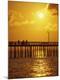 Premium Photographic Print