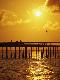 Premium Photographic Print