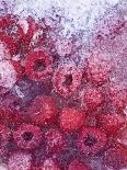 Frozen Raspberries-Chris Sch?fer-Photographic Print