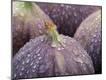 Premium Photographic Print