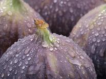 Fresh Figs with Drops of Water-Chris Schäfer-Photographic Print