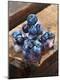 Premium Photographic Print