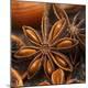 Premium Photographic Print