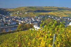 Luxembourg, Remich, Townscape, Vineyards, Autumn Colours-Chris Seba-Photographic Print