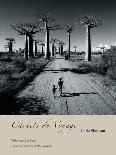 Allee des Baobabs II-Chris Simpson-Art Print