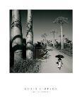Palm Grove-Chris Simpson-Giclee Print