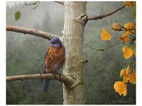 Bluebird Rain-Chris Vest-Art Print