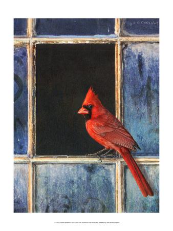 ‘Cardinal Window’ Art Print - Chris Vest | Art.com
