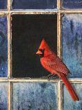 Cardinal Window-Chris Vest-Art Print