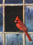 Cardinal Window-Chris Vest-Framed Art Print