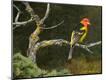 Premium Giclee Print