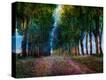 Stretched Canvas Print