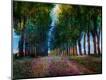 Premium Giclee Print