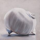 Moon Snail-Chris Witkowski-Mounted Art Print