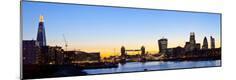 Premium Photographic Print