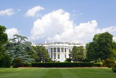 The White House-chrishowey-Mounted Photographic Print