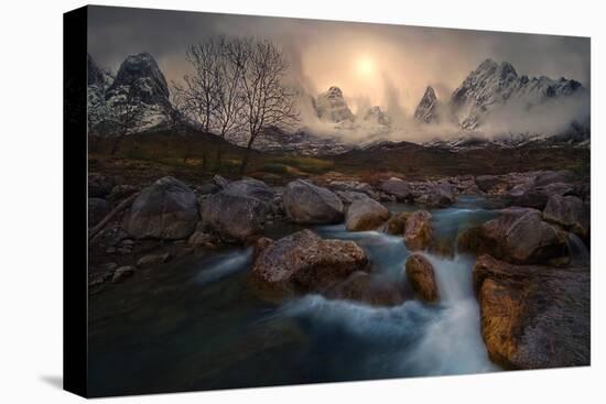 Stretched Canvas Print, , large
