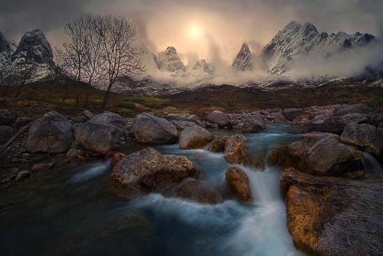 Premium Photographic Print, , large