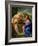 Christ and the Woman from Samaria-Carlo Maratti-Framed Giclee Print