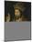 Christ as Salvator Mundi, C.1500 (Oil on Panel)-Anonymous Anonymous-Mounted Giclee Print