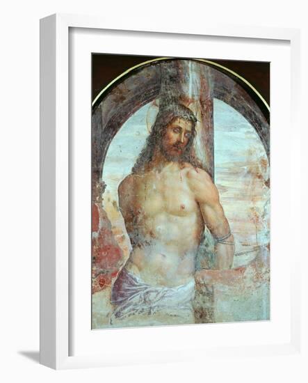 Christ at the Column, C.1514-Giovanni Antonio Bazzi Sodoma-Framed Giclee Print