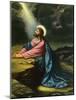 Christ in Gethsemane-null-Mounted Giclee Print