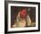 Christ in Gethsemane-null-Framed Giclee Print