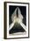 Christ in the Sepulcher-William Blake-Framed Art Print