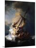 Christ in the Storm on the Lake of Galilee, 1633-Rembrandt van Rijn-Mounted Giclee Print