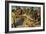 Christ Nailed to the Cross, Ca 1481-Gerard David-Framed Giclee Print