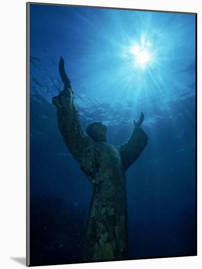 Christ of the Abyss Statue, Pennekamp State Park, FL-Shirley Vanderbilt-Mounted Photographic Print