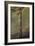 Christ on the Cross, circa 1646-Rembrandt van Rijn-Framed Giclee Print