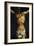 Christ on the Cross, Detail from the Central Crucifixion Panel of the Isenheim Altarpiece-Matthias Grünewald-Framed Giclee Print