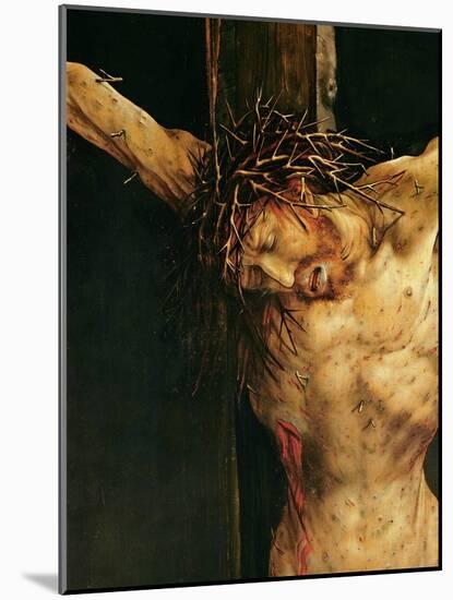 Christ on the Cross, Detail from the Central Crucifixion Panel of the Isenheim Altarpiece,…-Matthias Grünewald-Mounted Giclee Print