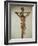 Christ on the Cross, Le Devot Christ, 1307-null-Framed Giclee Print