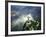 Christ Statue, Rio de Janeiro, Brazil-Bill Bachmann-Framed Photographic Print