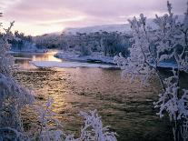 Snowy Riverscape, Vindelfjallen Nr, Umea, Sweden-Christer Fredriksson-Framed Premier Image Canvas