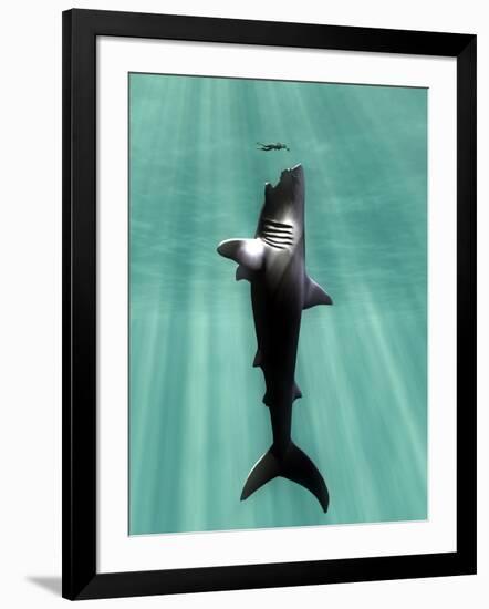 Photographic Print, , large