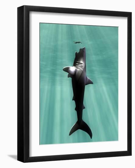 Photographic Print, , large