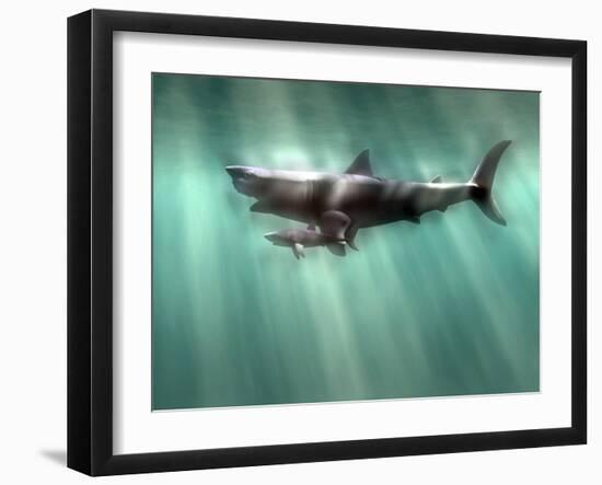 Photographic Print, , large