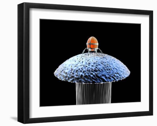 Photographic Print, , large