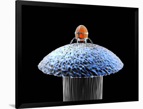 Photographic Print, , large