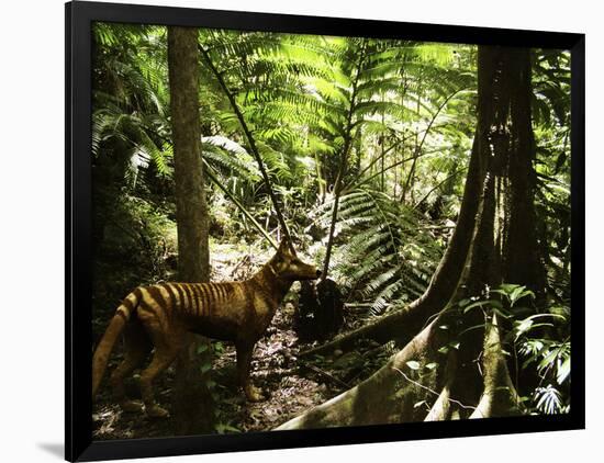 Photographic Print, , large