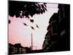 Photographic Print