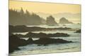 Photographic Print